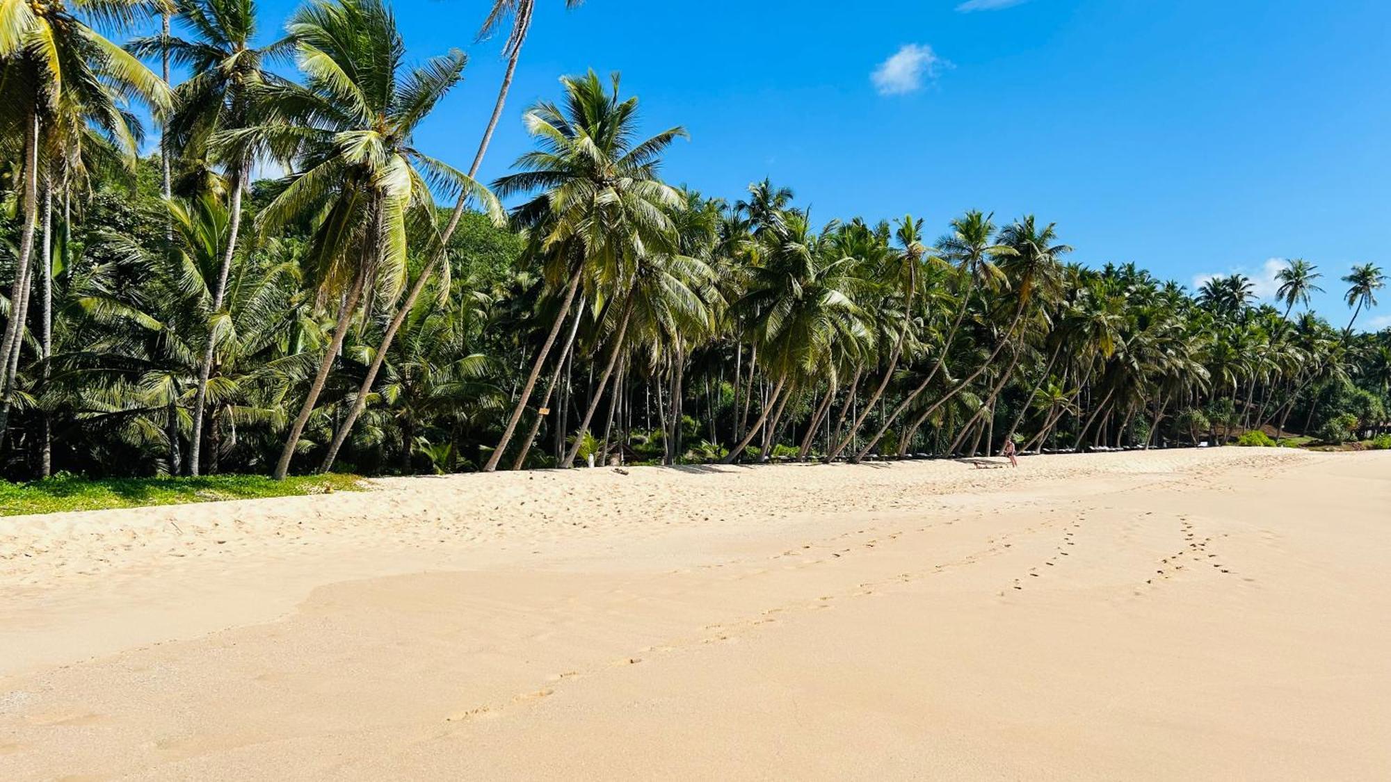 Shadow Surf Bay Hotel Tangalle Exterior photo