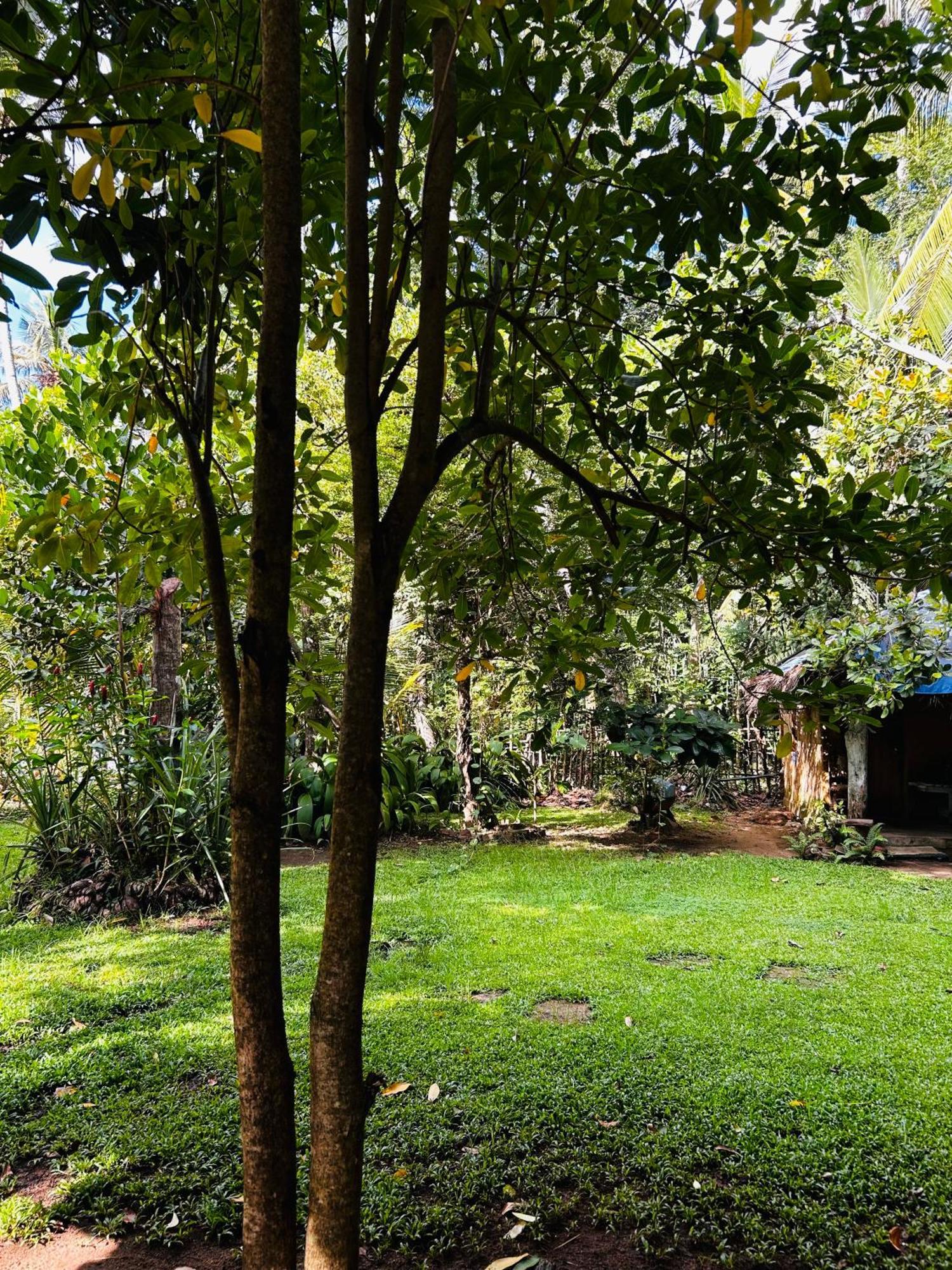 Shadow Surf Bay Hotel Tangalle Exterior photo