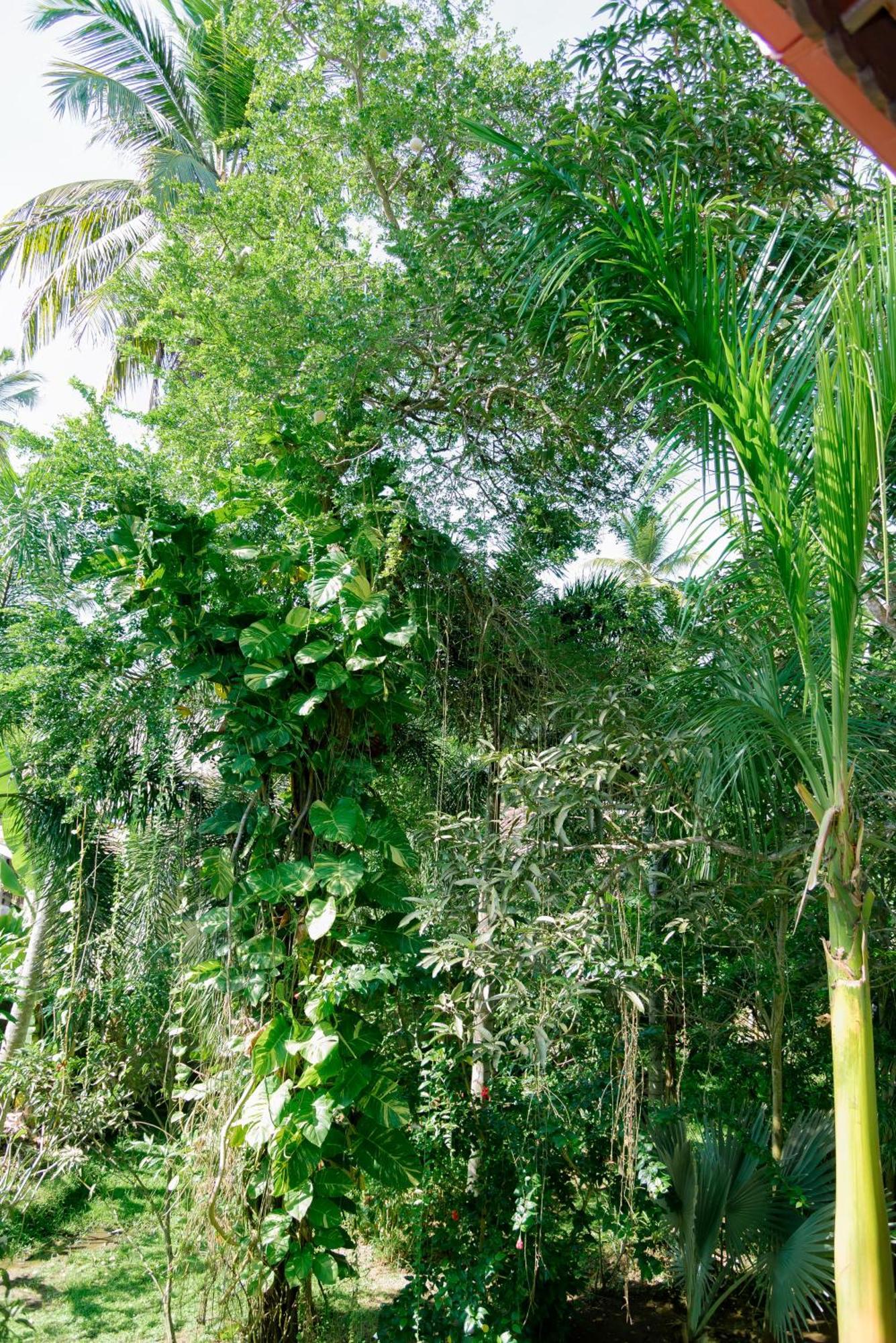 Shadow Surf Bay Hotel Tangalle Exterior photo